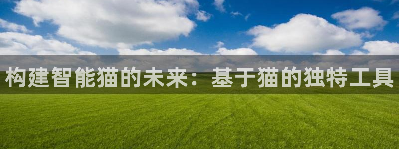 天宏娱乐指尖自：构建智能猫的未来：基于猫的独特工具