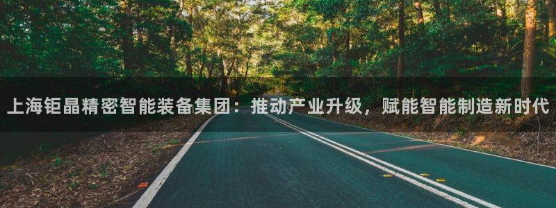 天宏娱乐韩叔：上海钜晶精密智能装备集团：推动产业升级，赋能智