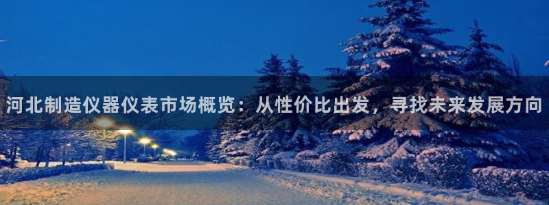 天宏娱乐直播间怎么进入：河北制造仪器仪表市场概览：从性价比出