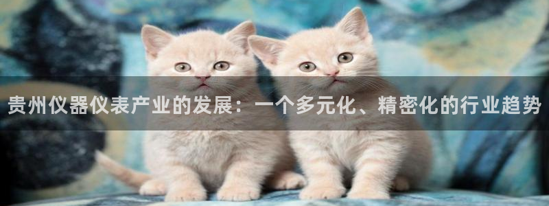 天宏娱乐d 判官：贵州仪器仪表产业的发展：一个多元化、精密化