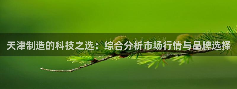 天宏娱乐开业晚宴：天津制造的科技之选：综合分析市场行情与品牌