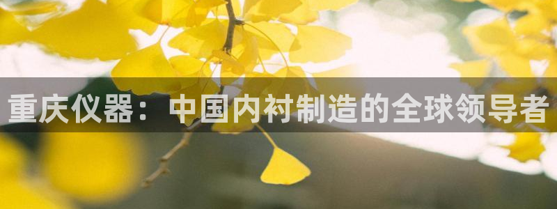 天宏娱乐的秦叔：重庆仪器：中国内衬制造的全球领导者