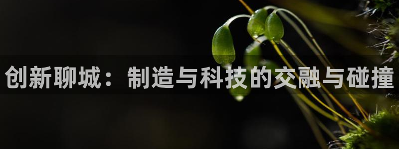 天宏娱乐会所电话地址：创新聊城：制造与科技的交融与碰撞