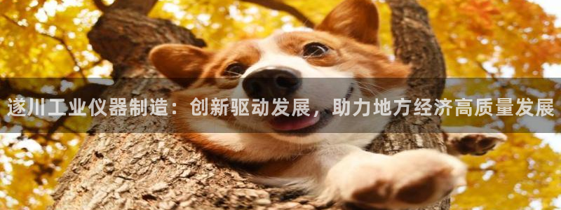 天宏娱乐老男孩文叔：遂川工业仪器制造：创新驱动发展，助力地方
