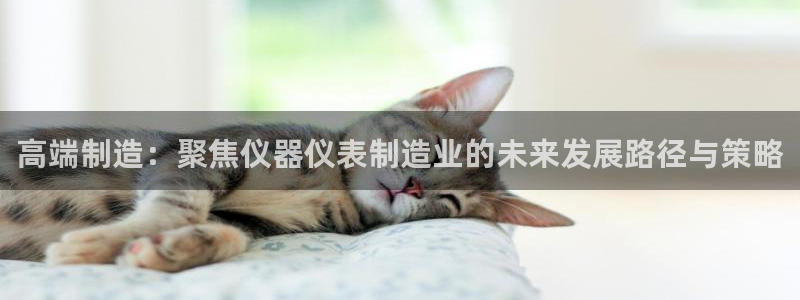 天宏娱乐大叔团：高端制造：聚焦仪器仪表制造业的未来发展路径与