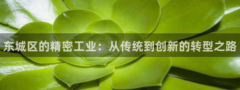 天宏娱乐团购：东城区的精密工业：从传统到创新的转型之路
