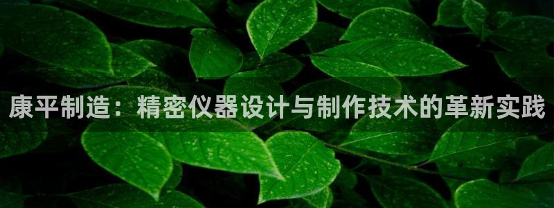 天宏娱乐指挥官：康平制造：精密仪器设计与制作技术的革新实践