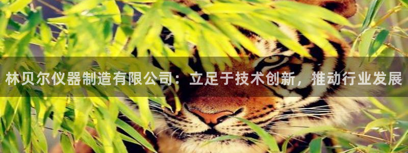 天宏娱乐官网平台：林贝尔仪器制造有限公司：立足于技术创新，推
