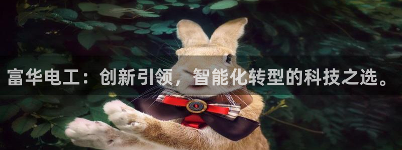 河源天宏娱乐：富华电工：创新引领，智能化转型的科技之选。