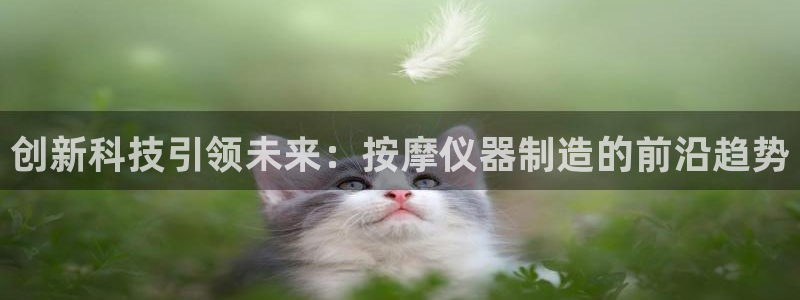 天宏娱乐豆豆：创新科技引领未来：按摩仪器制造的前沿趋势
