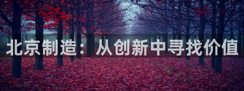 天宏娱乐 直播间怎么进：北京制造：从创新中寻找价值