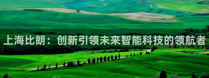 天宏娱乐龙叔：上海比朗：创新引领未来智能科技的领航者