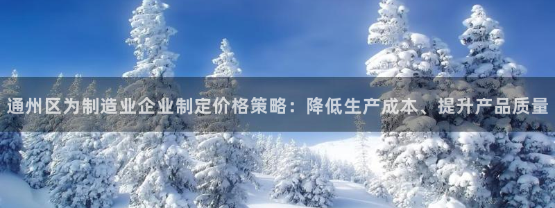 天宏娱乐丁叔：通州区为制造业企业制定价格策略：降低生产成本、