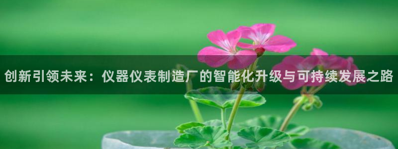 天宏娱乐管a事443593：创新引领未来：仪器仪表制造厂的智