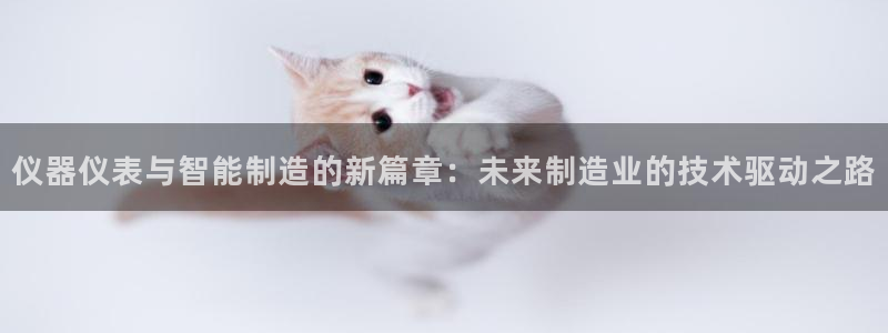 天宏娱乐胡叔：仪器仪表与智能制造的新篇章：未来制造业的技术驱
