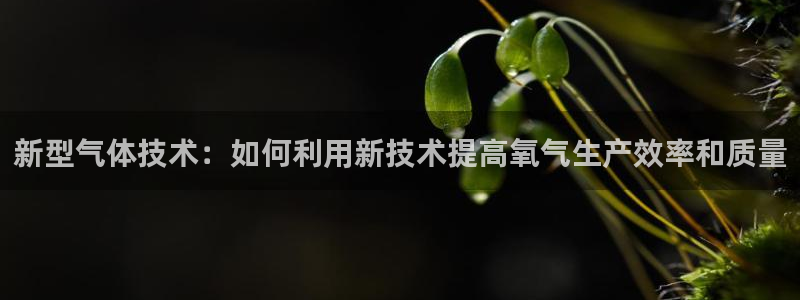裕宏娱乐林天俊简介：新型气体技术：如何利用新技术提高氧气生产