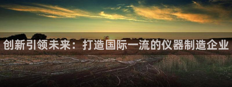 天宏娱乐团：创新引领未来：打造国际一流的仪器制造企业