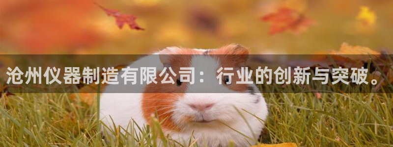 天宏3娱乐登录：沧州仪器制造有限公司：行业的创新与突破。