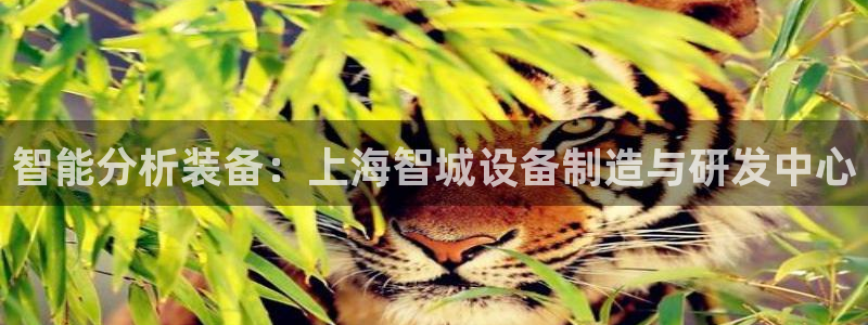 天宏娱乐总店：智能分析装备：上海智城设备制造与研发中心