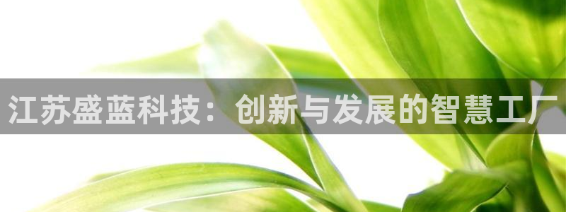 天宏2娱乐注册登录：江苏盛蓝科技：创新与发展的智慧工厂
