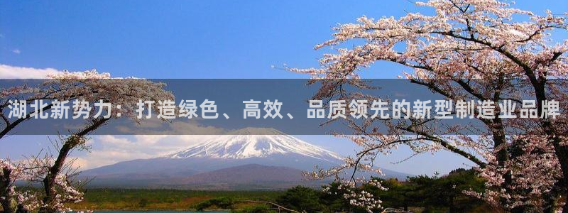 天宏娱乐旗下的网红：湖北新势力：打造绿色、高效、品质领先的新