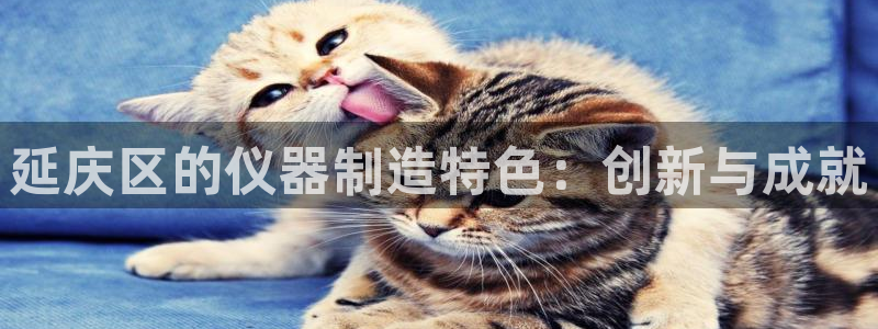 裕宏娱乐林天俊简介：延庆区的仪器制造特色：创新与成就