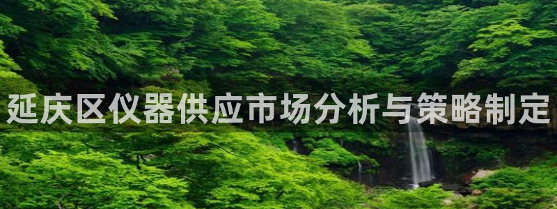 河源天宏娱乐店：延庆区仪器供应市场分析与策略制定