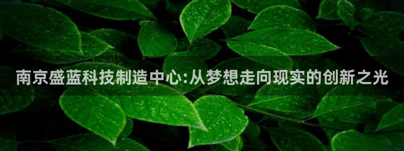 天宏娱乐待遇：南京盛蓝科技制造中心:从梦想走向现实的创新之光