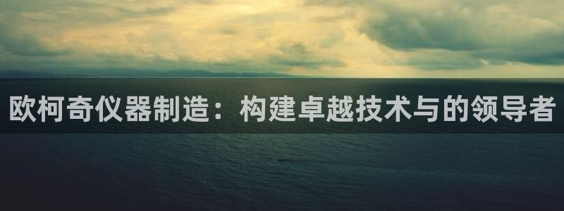天宏娱乐招商：欧柯奇仪器制造：构建卓越技术与的领导者