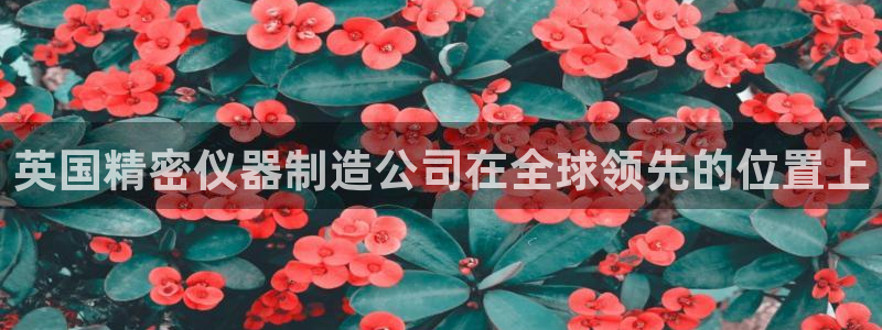 天宏娱乐登入：英国精密仪器制造公司在全球领先的位置上