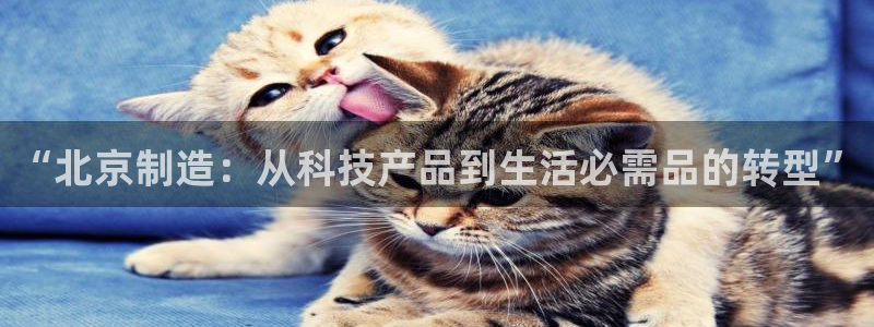天宏娱乐青峰：“北京制造：从科技产品到生活必需品的转型”