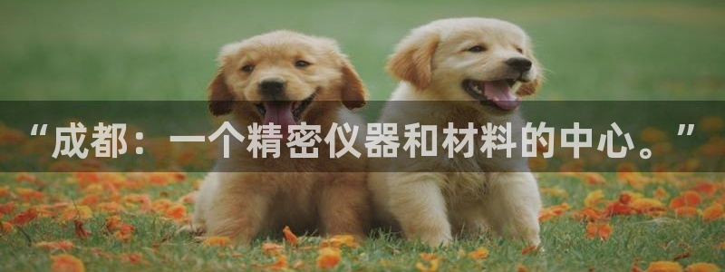 天宏娱乐王总：“成都：一个精密仪器和材料的中心。”