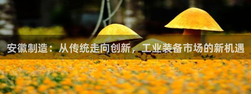 天宏娱乐平台：安徽制造：从传统走向创新，工业装备市场的新机遇