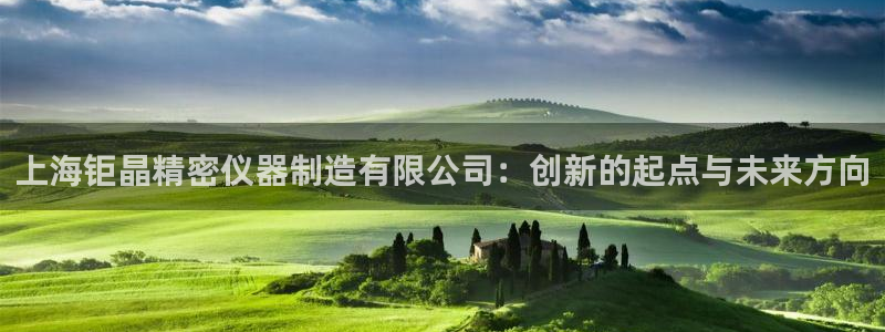 天宏娱乐杨叔：上海钜晶精密仪器制造有限公司：创新的起点与未来