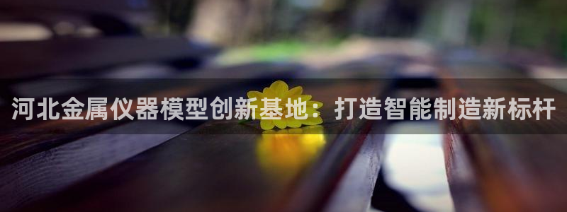 天宏娱乐福叔：河北金属仪器模型创新基地：打造智能制造新标杆