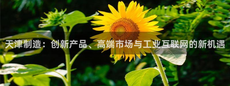 天宏2娱乐：天津制造：创新产品、高端市场与工业互联网的新机遇