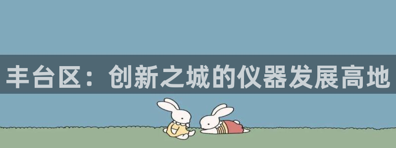 天宏娱乐是干嘛的：丰台区：创新之城的仪器发展高地