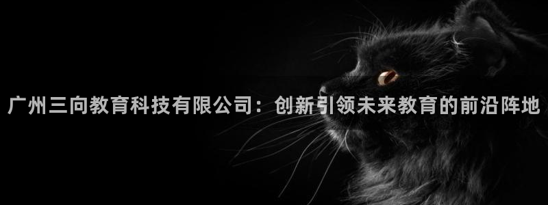 天宏娱乐下载：广州三向教育科技有限公司：创新引领未来教育的前