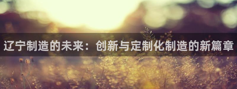 河源市天宏娱乐：辽宁制造的未来：创新与定制化制造的新篇章