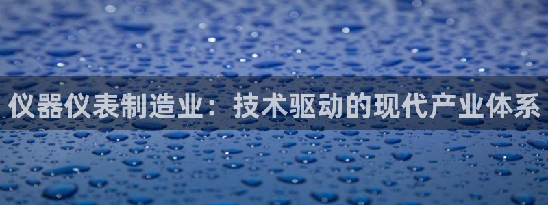 天宏娱乐m 判官：仪器仪表制造业：技术驱动的现代产业体系