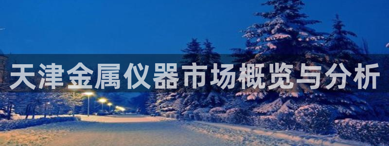 天宏娱乐主管：天津金属仪器市场概览与分析