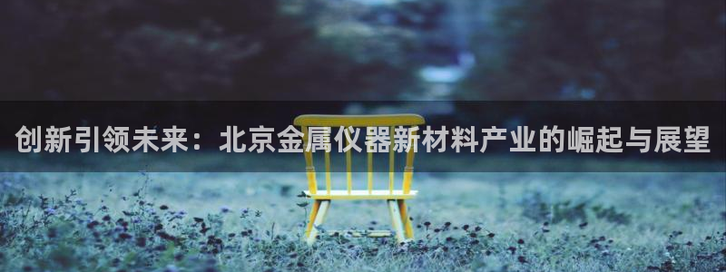 天宏娱乐老男孩团队：创新引领未来：北京金属仪器新材料产业的崛