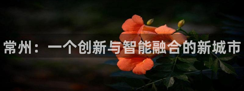 天宏娱乐天跃传媒招聘：常州：一个创新与智能融合的新城市