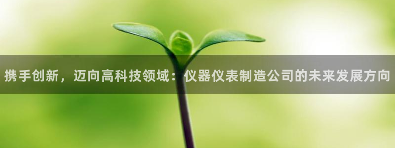 天宏娱乐的秦叔：携手创新，迈向高科技领域：仪器仪表制造公司的