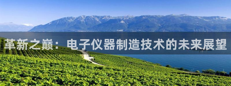 天宏娱乐32937股东：革新之巅：电子仪器制造技术的未来展望