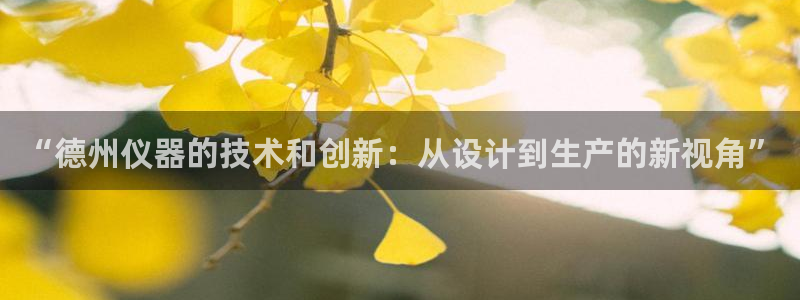 天宏娱乐董叔：“德州仪器的技术和创新：从设计到生产的新视角”