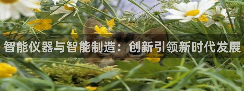 天宏娱乐地址：智能仪器与智能制造：创新引领新时代发展