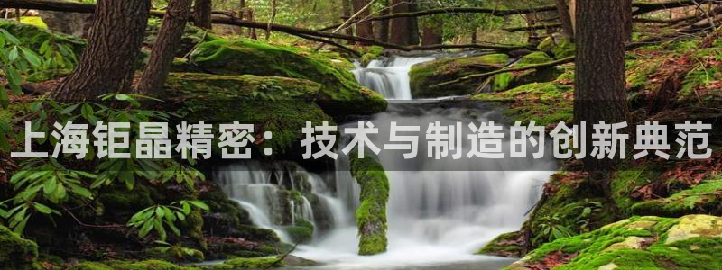 天宏娱乐秦叔的大哥：上海钜晶精密：技术与制造的创新典范