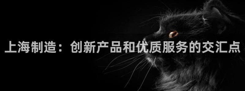 天宏娱乐倒闭了吗：上海制造：创新产品和优质服务的交汇点