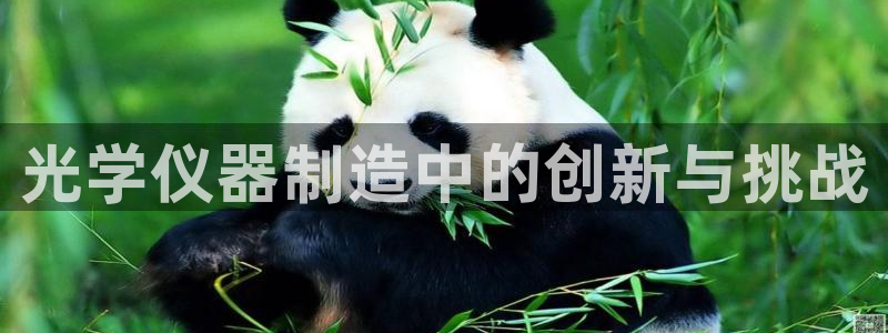 天宏娱乐2主管：光学仪器制造中的创新与挑战